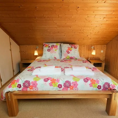 Chalet Cachette 샤모니